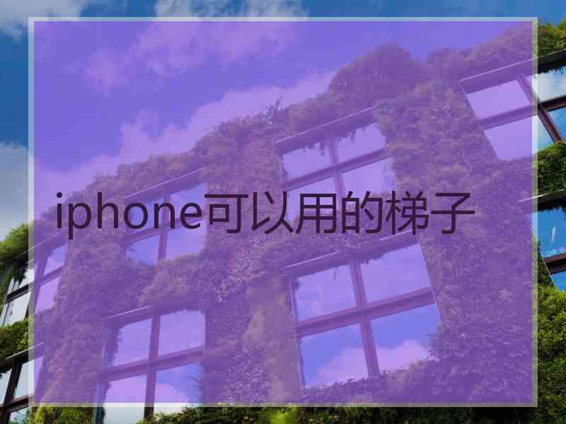 iphone可以用的梯子