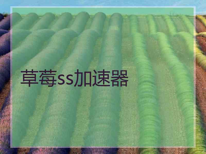 草莓ss加速器