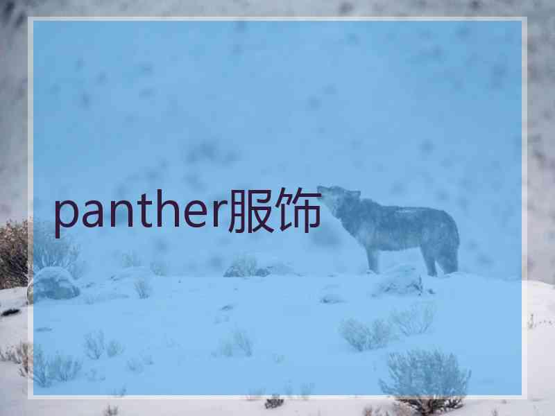 panther服饰