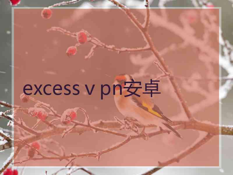 excessⅴpn安卓