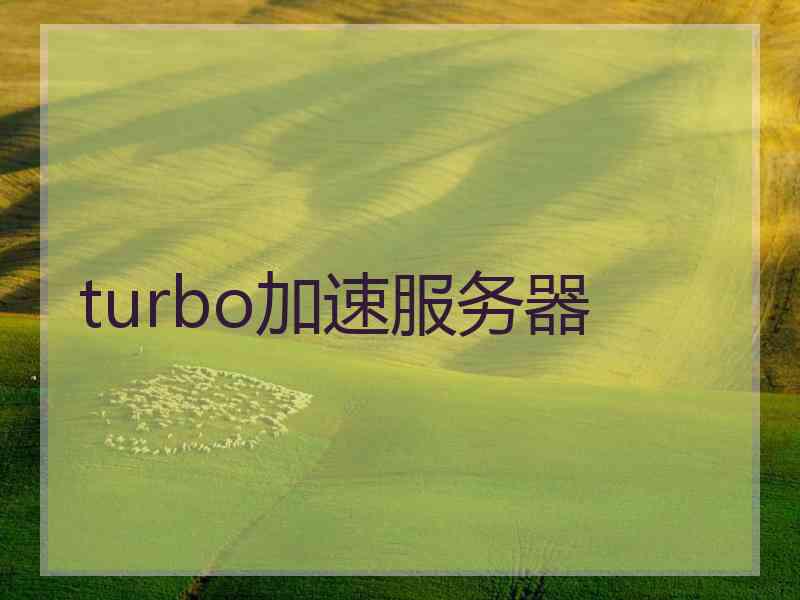 turbo加速服务器