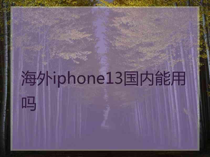 海外iphone13国内能用吗