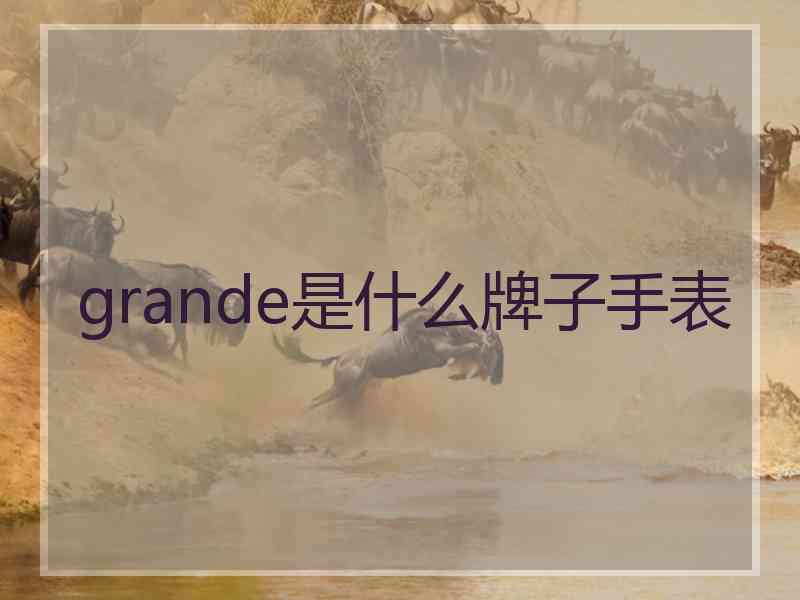 grande是什么牌子手表