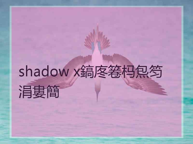 shadow x鎬庝箞杩炰笉涓婁簡