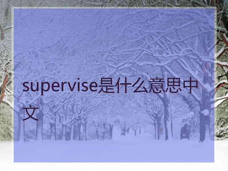 supervise是什么意思中文