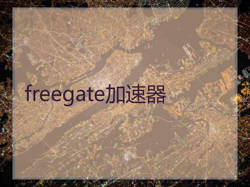 freegate加速器