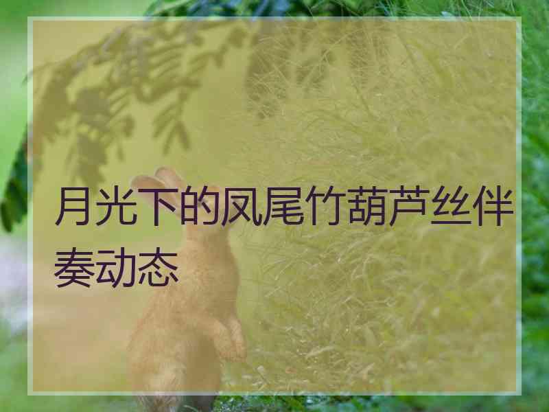 月光下的凤尾竹葫芦丝伴奏动态