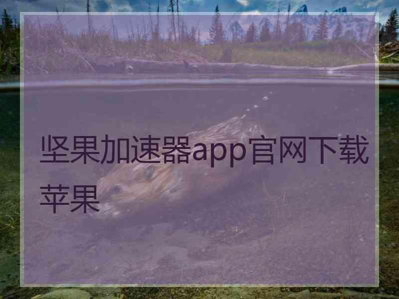 坚果加速器app官网下载苹果