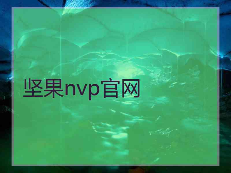 坚果nvp官网