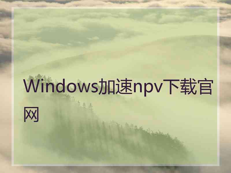 Windows加速npv下载官网