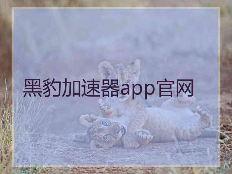 黑豹加速器app官网