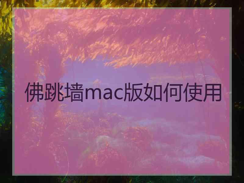 佛跳墙mac版如何使用