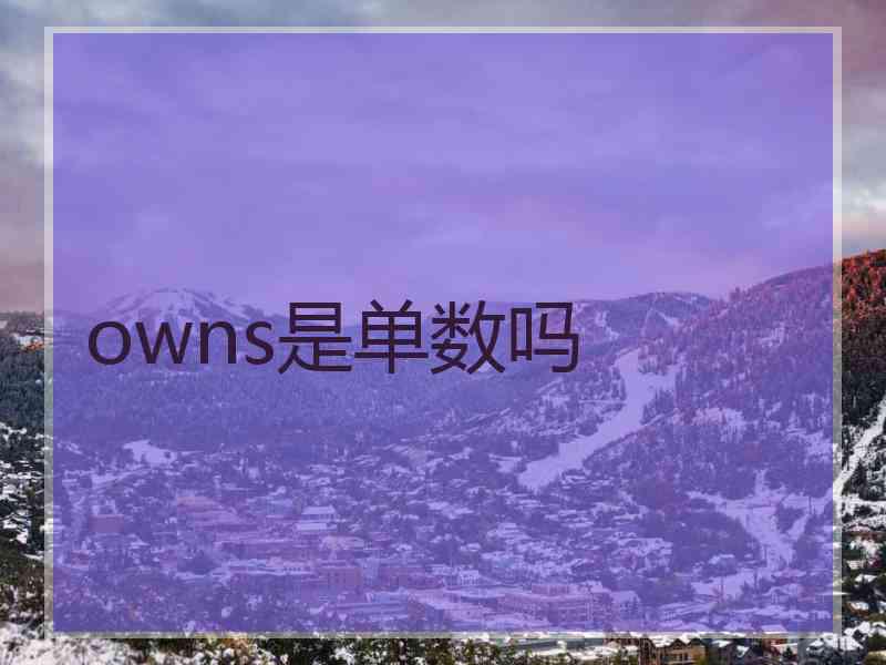 owns是单数吗