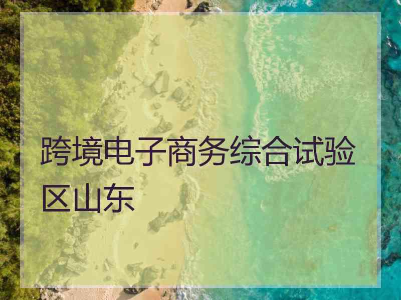 跨境电子商务综合试验区山东