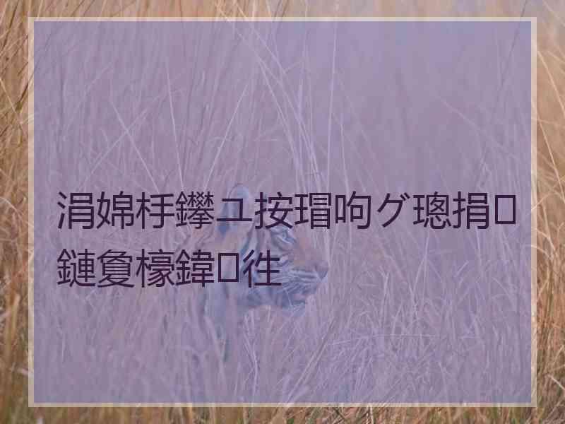 涓婂杽鑻ユ按瑁呴グ璁捐鏈夐檺鍏徃