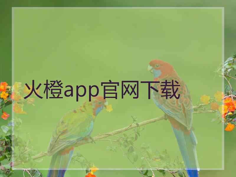 火橙app官网下载