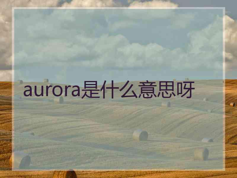 aurora是什么意思呀