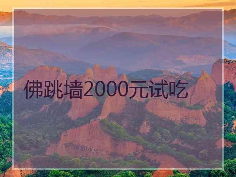 佛跳墙2000元试吃