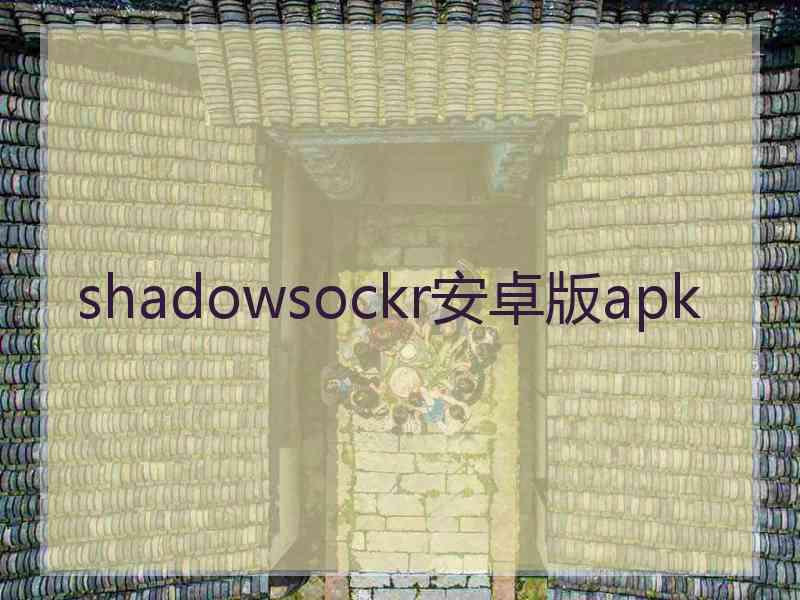 shadowsockr安卓版apk