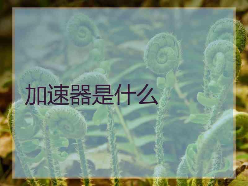 加速器是什么