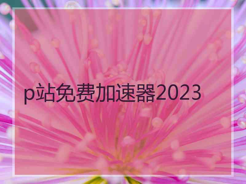 p站免费加速器2023