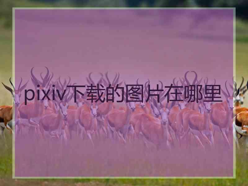 pixiv下载的图片在哪里