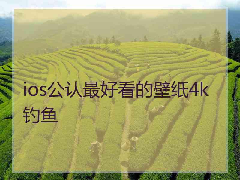 ios公认最好看的壁纸4k 钓鱼