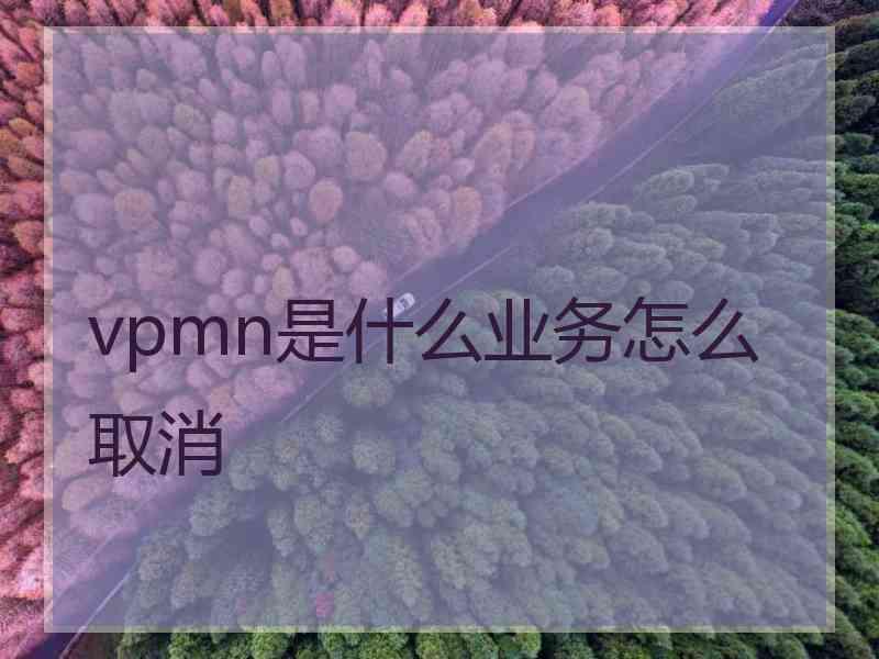 vpmn是什么业务怎么取消