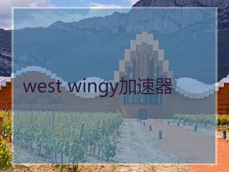 west wingy加速器