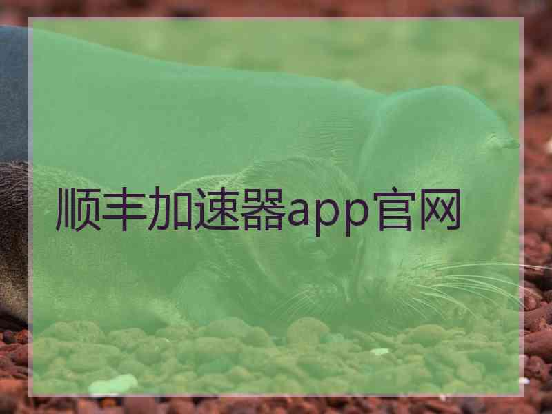 顺丰加速器app官网