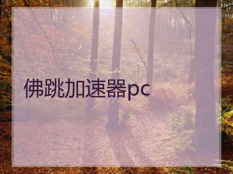 佛跳加速器pc