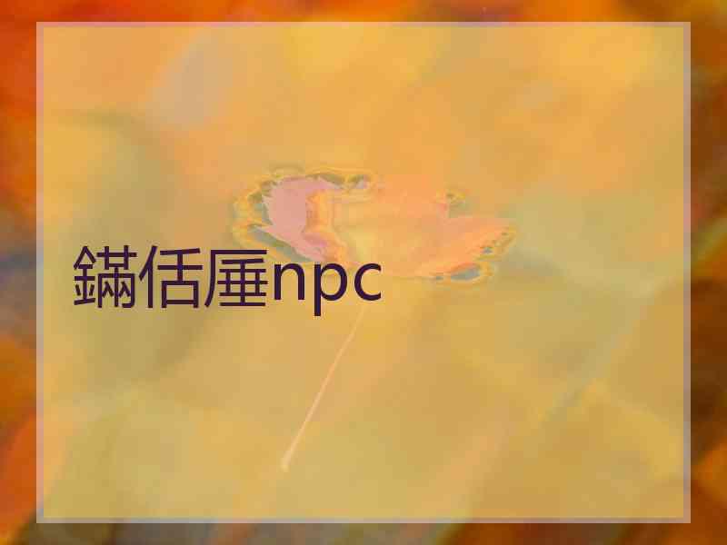 鏋佸厜npc