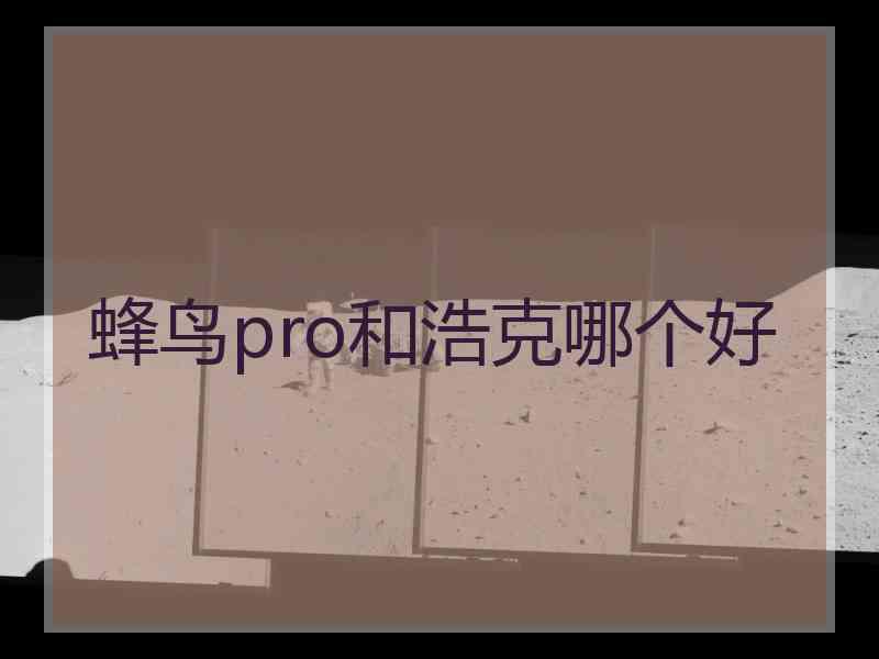 蜂鸟pro和浩克哪个好