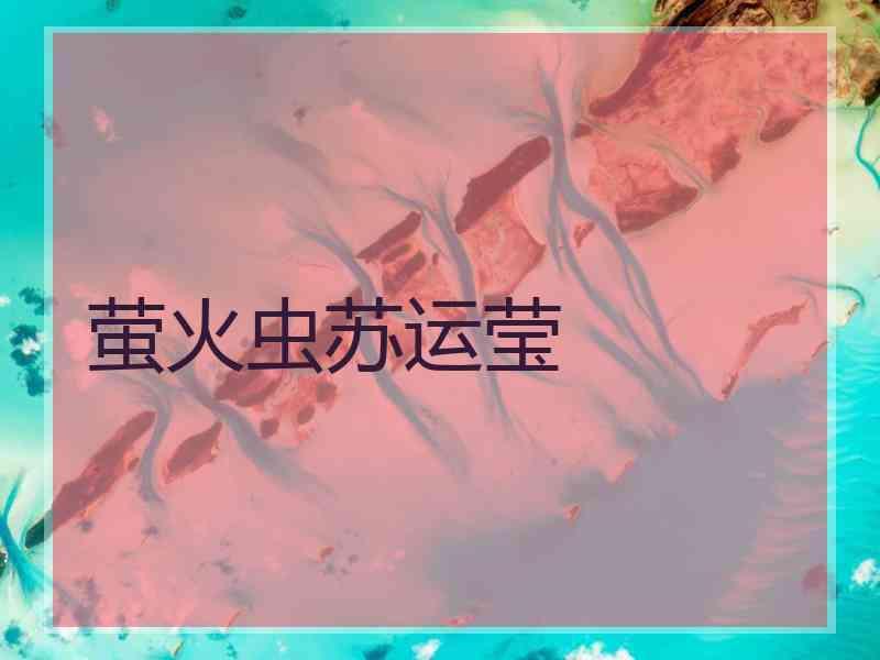 萤火虫苏运莹