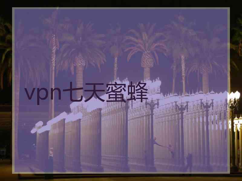 vpn七天蜜蜂