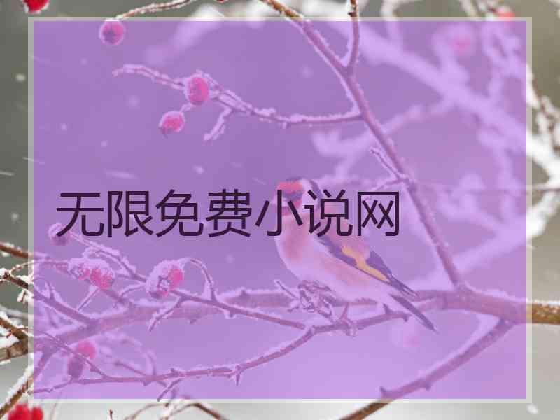 无限免费小说网