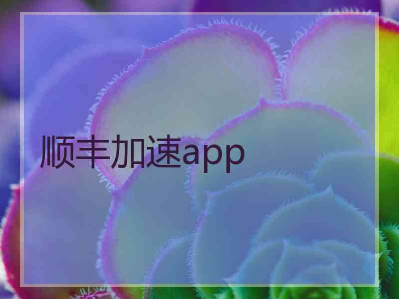 顺丰加速app