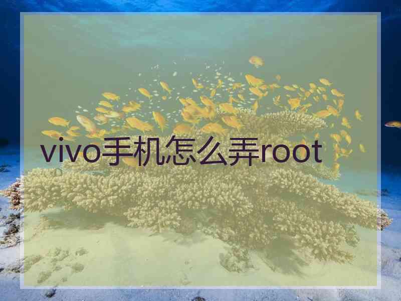 vivo手机怎么弄root