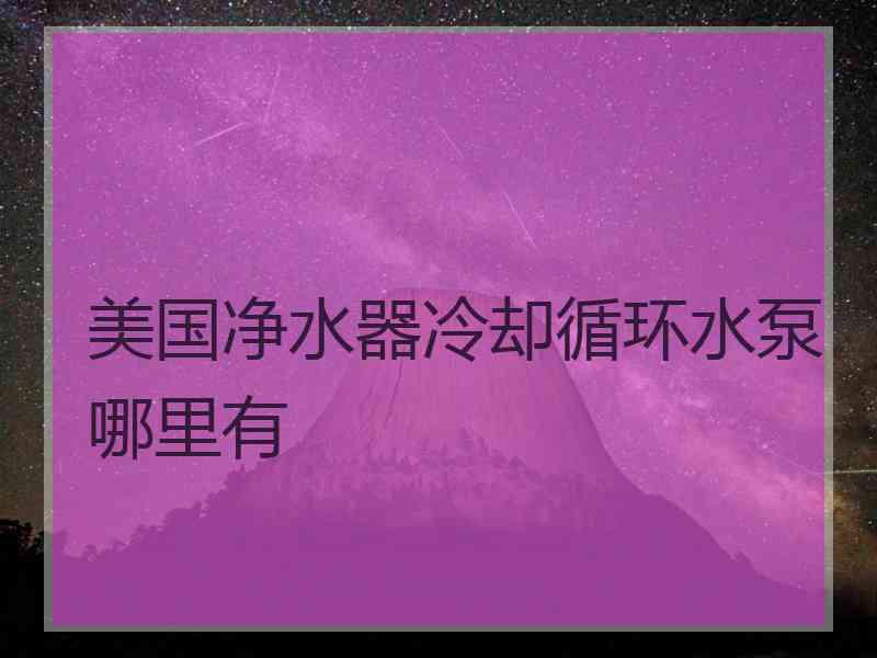 美国净水器冷却循环水泵哪里有