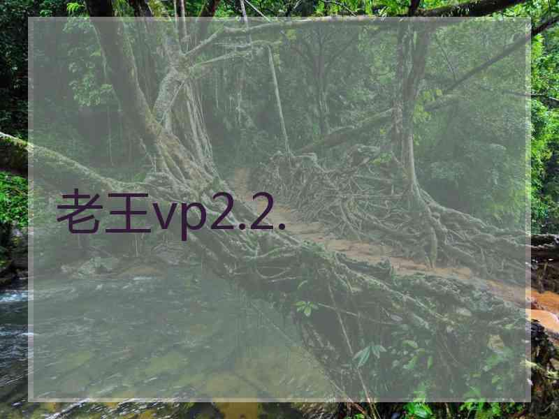 老王vp2.2.