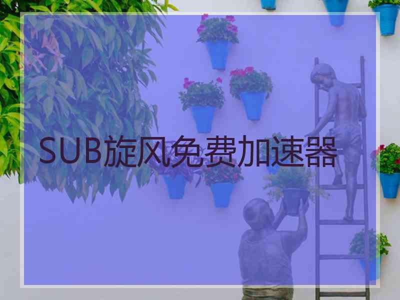 SUB旋风免费加速器