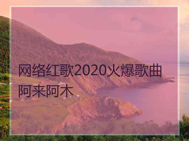 网络红歌2020火爆歌曲阿来阿木