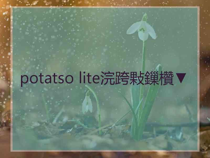 potatso lite浣跨敤鏁欑▼