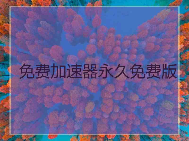 免费加速器永久免费版