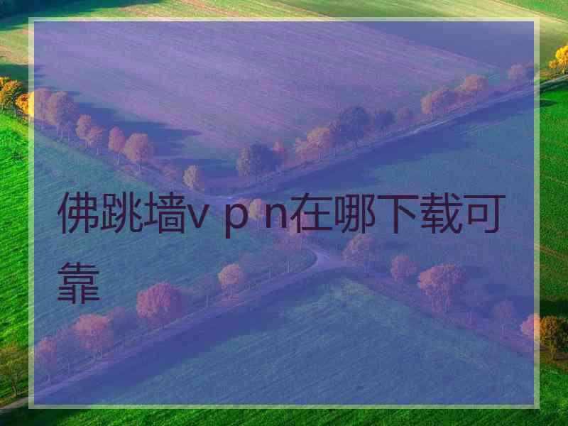 佛跳墙v p n在哪下载可靠