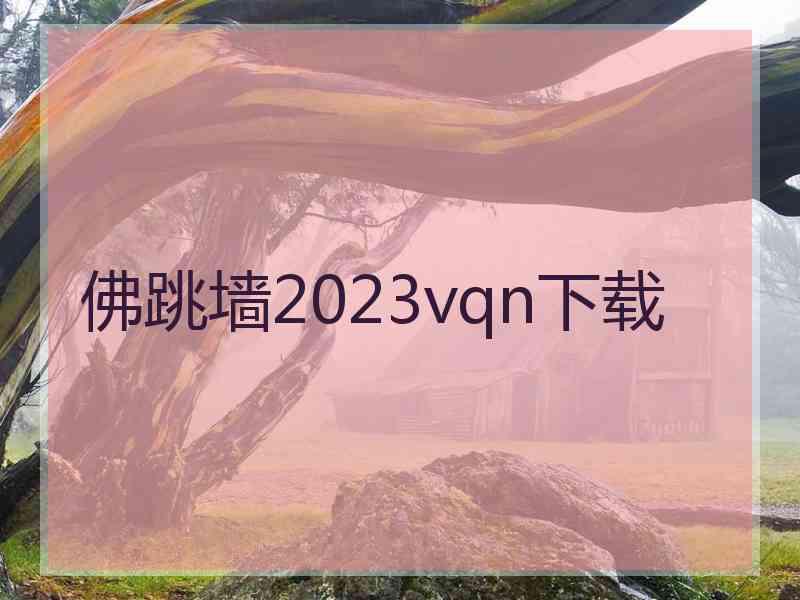 佛跳墙2023vqn下载