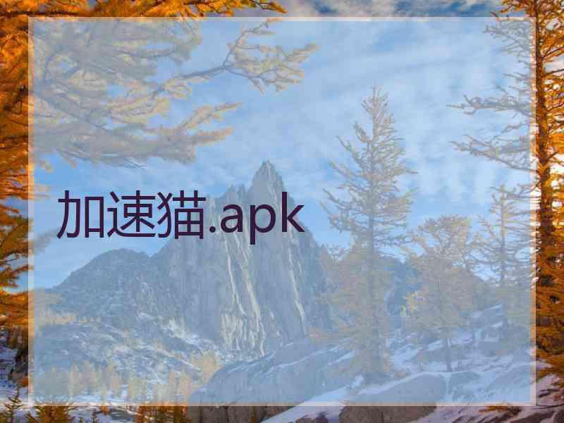 加速猫.apk