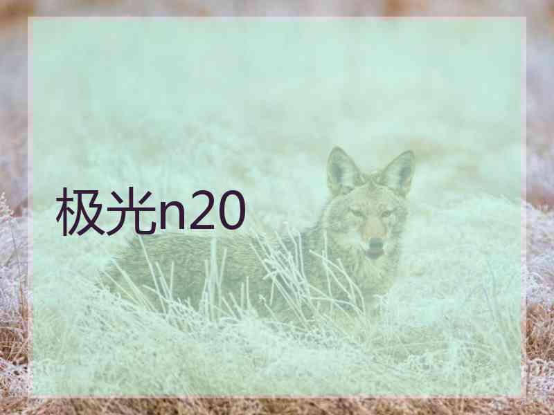 极光n20