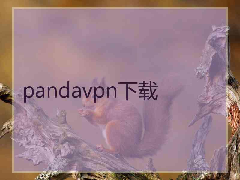 pandavpn下载