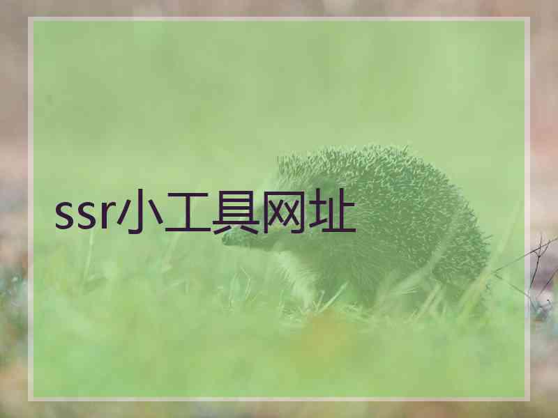 ssr小工具网址